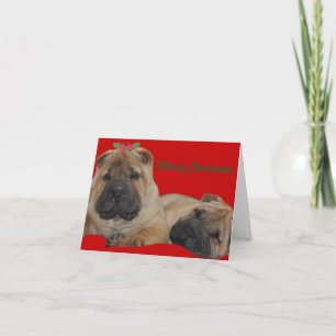 Shar Peiのヒイラギの子犬のクリスマス シーズンカード