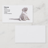 Shar-peiのプロフィールカード 名刺 (正面/裏面)