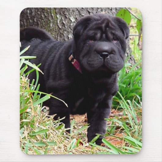 Shar-peiのマウスパッド マウスパッド (正面)