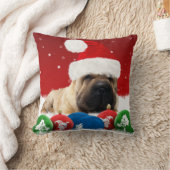 Shar Peiの冬ポリエステル装飾用クッション16" x 16" クッション (ブランケット)