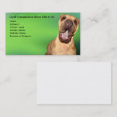 Shar-peiの名刺 名刺 (正面/裏面)