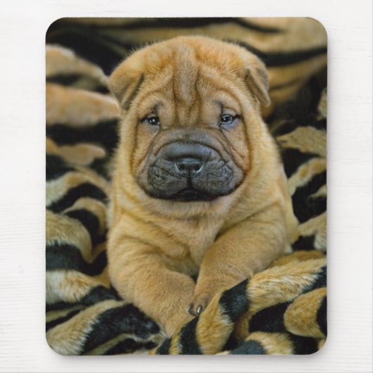 Shar-Pei 4の1週間目の子犬のマウスパッド マウスパッド (正面)
