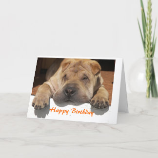 Shar Pei Birthday カード