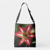 Shards of Red: Hibiscus at the Summit of Phongsaly クロスボディバッグ (裏面)