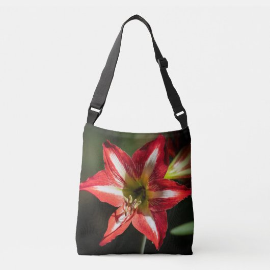Shards of Red: Hibiscus at the Summit of Phongsaly クロスボディバッグ (正面)