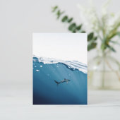 Sharkはがき ポストカード (スタンド正面)