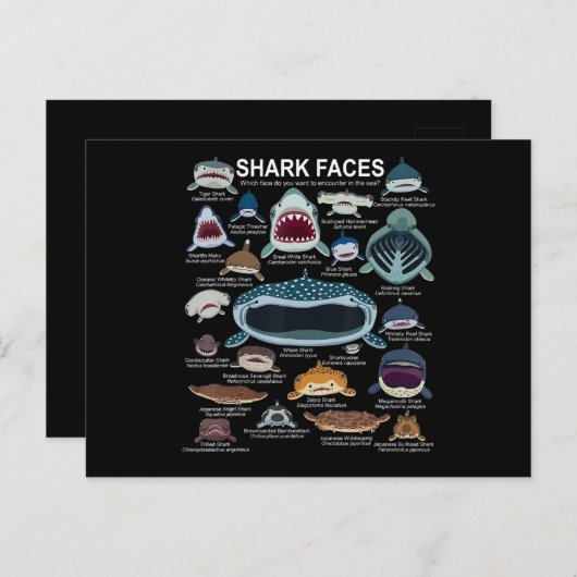 Shark顔どの顔に出会いたいか 案内ポストカード (正面/裏面)