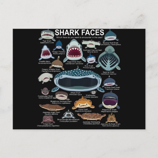 Shark顔顔に出会いたい シーズンポストカード (正面)