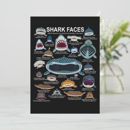 Shark顔顔に出会いたい 招待状 (スタンド正面)