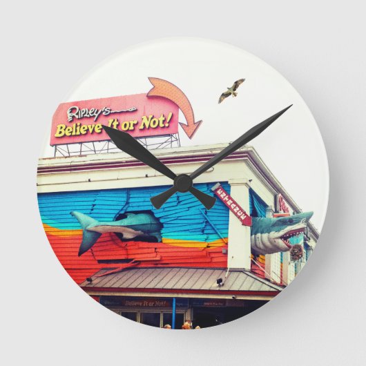 Shark  ラウンド壁時計 (正面)