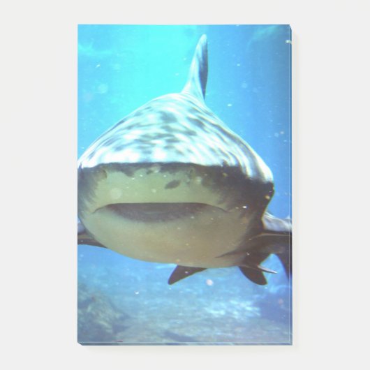 shark-5.jpg ポストイット (正面)