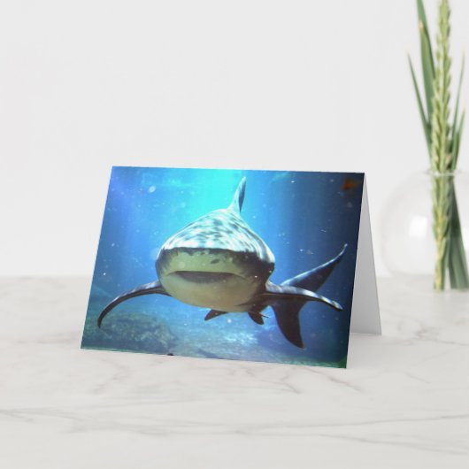 Shark Greeting Card カード (正面)