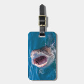 Shark Photoラゲージタグ ラゲッジタグ (正面縦)