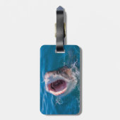 Shark Photoラゲージタグ ラゲッジタグ (裏面縦)