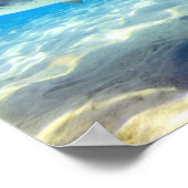 Shark Swimming Blue Ocean Water ポスター (角)