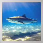 Shark Swimming Blue Ocean Water ポスター (正面)