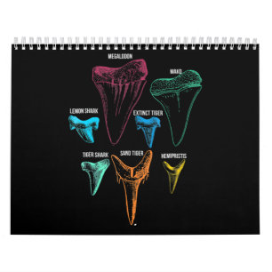 Shark Tooth狩りID鍵 カレンダー