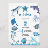 Shark Under the Sea Birthday Party 招待状 (正面/裏面)