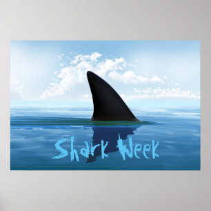 Shark weekポスター ポスター