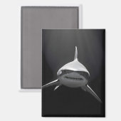 Shark Wildlife Majestic Nature Life Ocean Poster マグネット (正面/裏面)