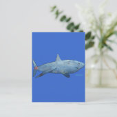 Sharksコレクションから ポストカード (スタンド正面)