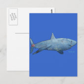 Sharksコレクションから ポストカード (正面/裏面)