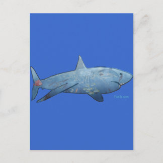 Sharksコレクションから ポストカード