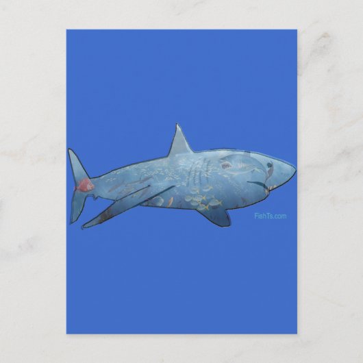 Sharksコレクションから ポストカード (正面)