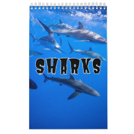 Sharksコレクションショーケースウォールカレンダー カレンダー