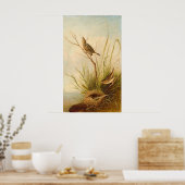 Sharp-Tail Finch, Joseph B. Kiddファインアートポスター ポスター (キッチン)