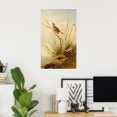 Sharp-Tail Finch, Joseph B. Kiddファインアートポスター ポスター (ホームオフィス)