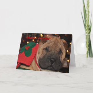 Sharpeiのクリスマスカード シーズンカード