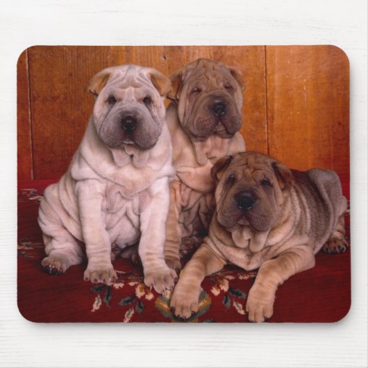 sharpeiのマウスパッド マウスパッド (正面)
