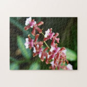 SharryのベビーのOncidium 10x14の写真のパズル ジグソーパズル (横)