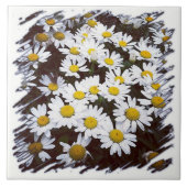 Shastaデイジーの写真 タイル (正面)