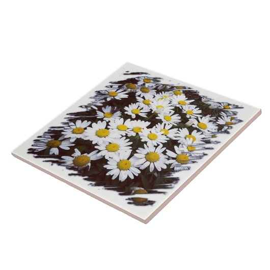 Shastaデイジーの写真 タイル (側面)