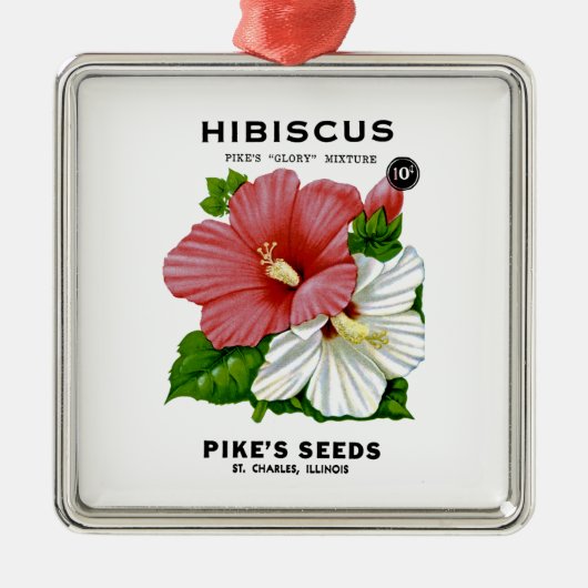Shastaデイジーヴィンテージシードパケット メタルオーナメント (正面)