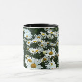 Shastaデイジー マグカップ (中央)