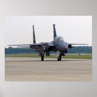 Shaw AFB, SCのSeymour Johnson AFBよりF-15E。 ポスター