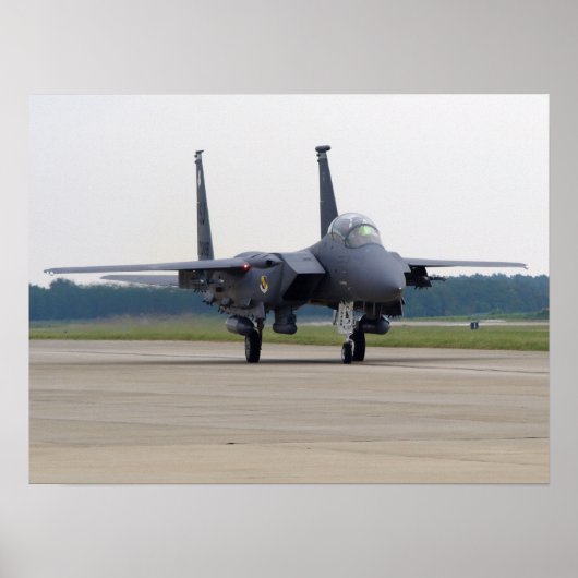 Shaw AFB, SCのSeymour Johnson AFBよりF-15E。 ポスター (正面)