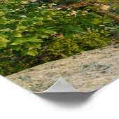 Shawangunk Mountains, NY ポスター (角)