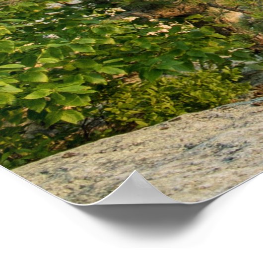 Shawangunk Mountains, NY ポスター (角)