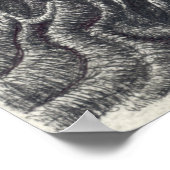 Shayol, ink drawing ポスター (角)