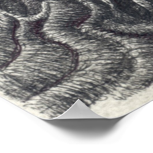 Shayol, ink drawing ポスター (角)