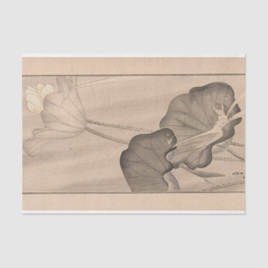 Shbi Gakan, Pl.13 by南原作次郎 薄葉紙 (正面)