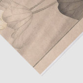 Shbi Gakan, Pl.13 by南原作次郎 薄葉紙 (詳細)