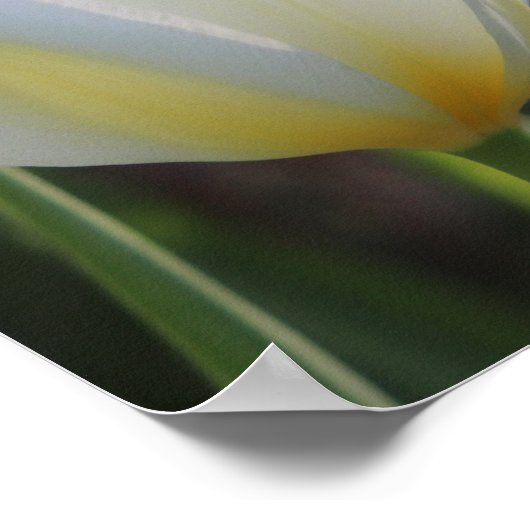 She is clothed - Proverbs 31:25 floral ポスター (角)