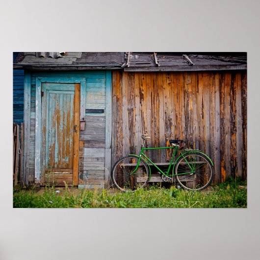 shed ポスター (正面)