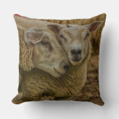 sheep クッション (正面)