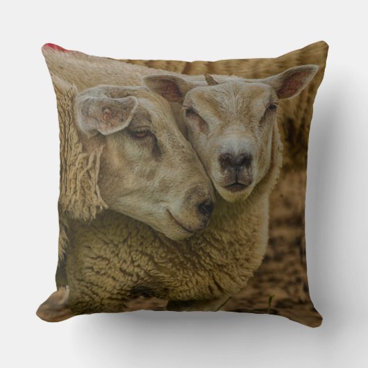sheep クッション (正面)